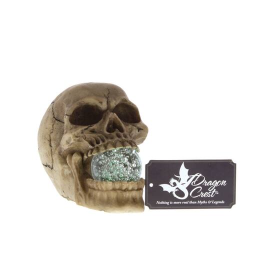 5" Realistic Human Skull with Light-Up Crystal Orb